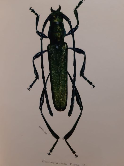 Revista de Entomologia de Moçambique 1964