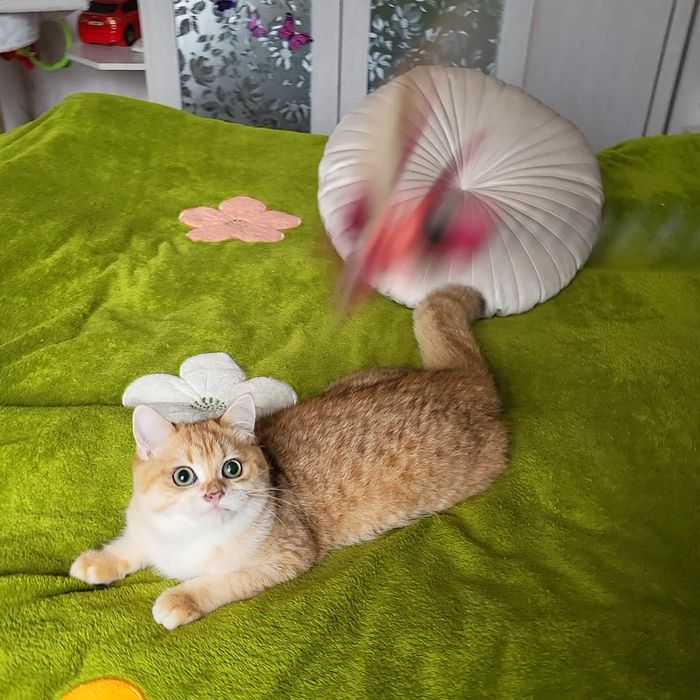 Мальчик -красавчик!