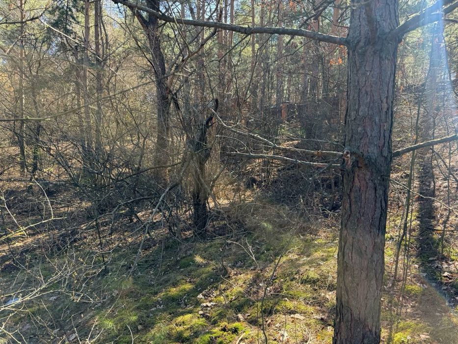 25 соток с. Ярошівка Фастівський район