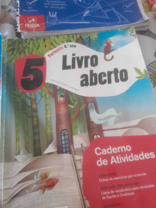 Caderno atividades 5ano
