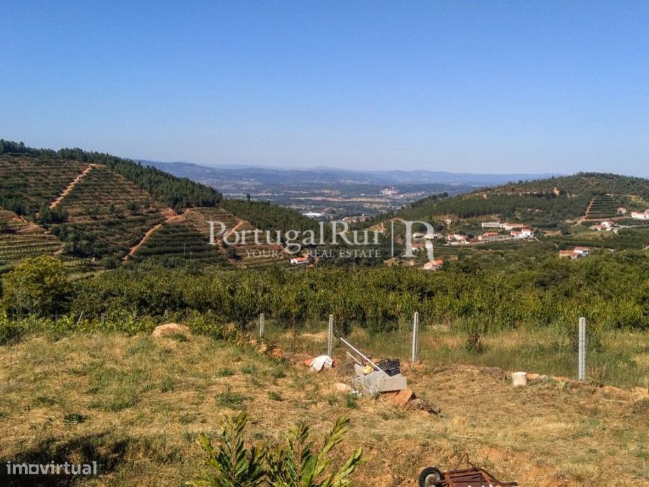 Terreno de 11.100 m² em Alcongosta, na Serra da Gardunha