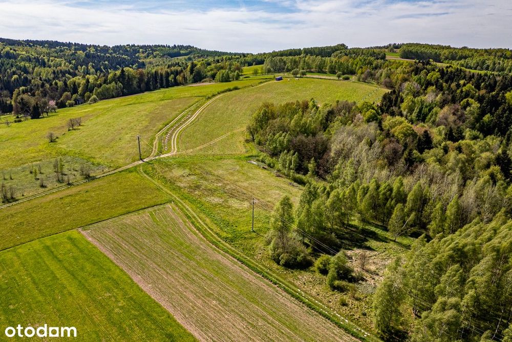 Zdjęcie 4