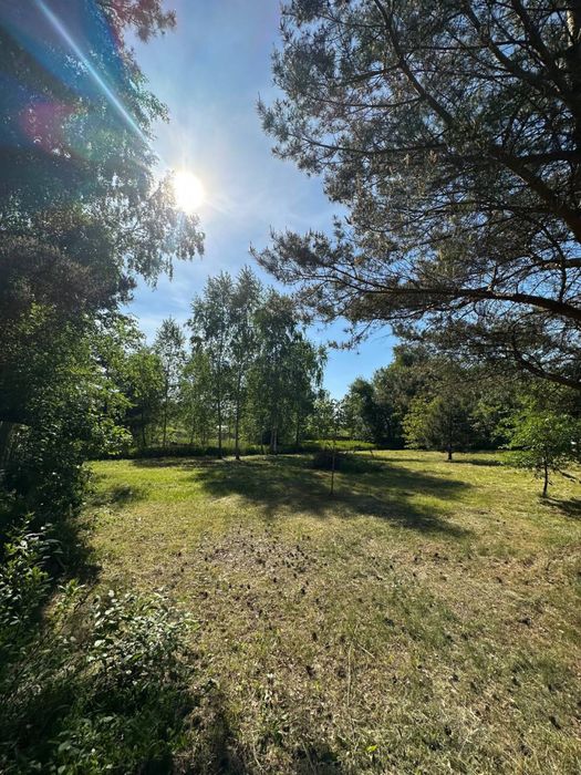 Земельна ділянка