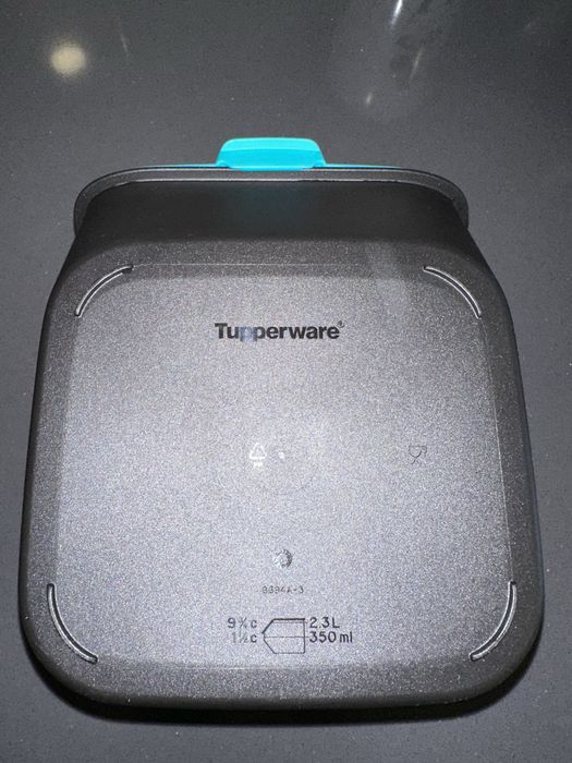 Tulha de alhos da Tupperware + Tudo em um