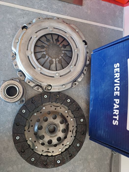 Продам щеплення: