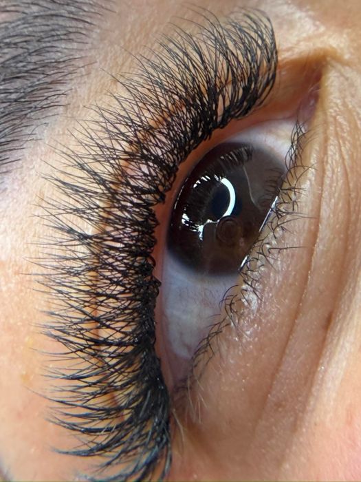 Pestanas e sobrancelhas !