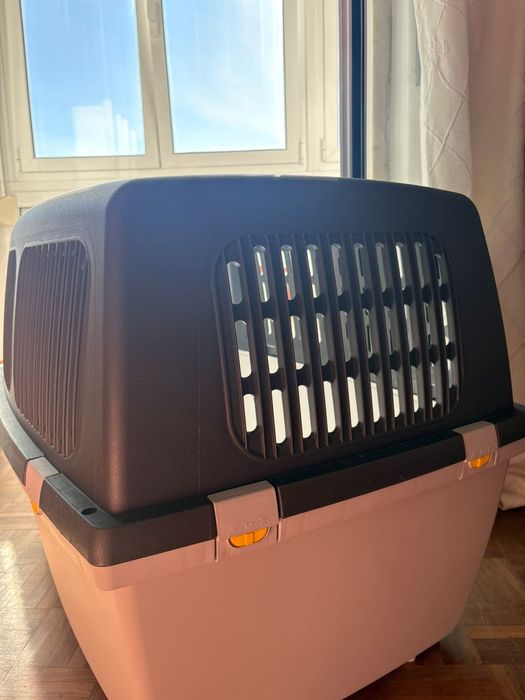 Caixa de transporte para cães