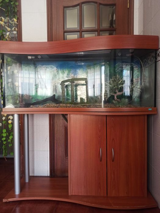 Aquário em forma de onda panorâmico