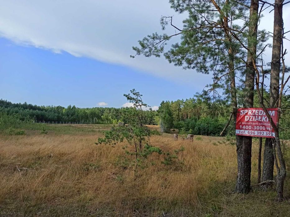 Działki bezpośrednio przy lesie!! 1400 m² z WZ | Wiewiórowo (15km od Koszalina) - Widok 4