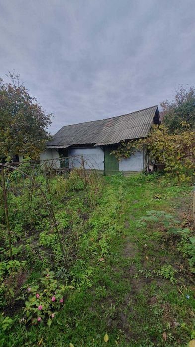 Продам будинок в центрі міста.