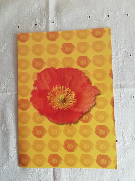 Postal de Michel Verlag