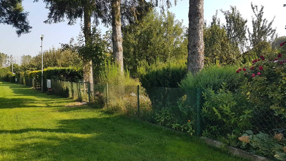 Działka ROD Toruń Wielki Rów Niezapominajka - ZADBANA, PIELĘGNOWANA