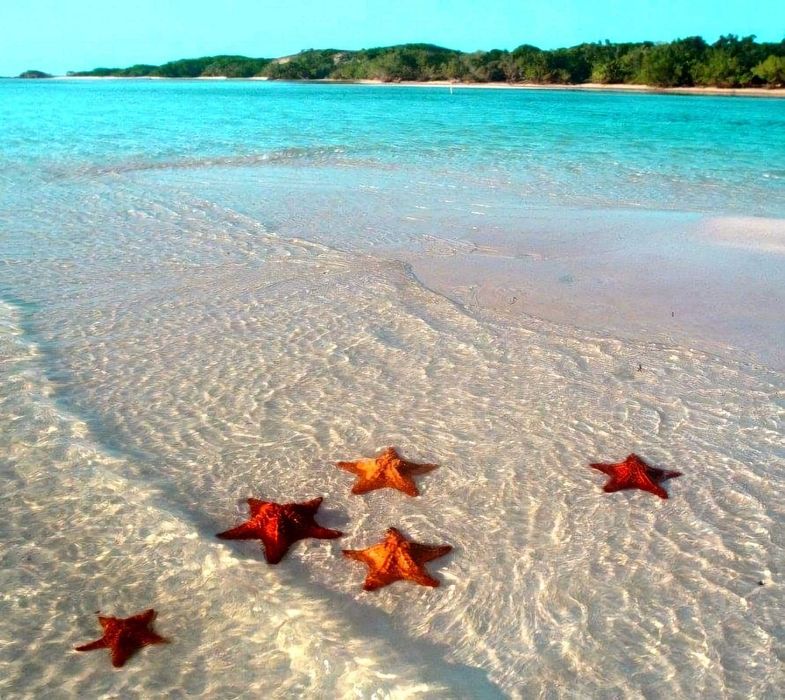 " Melhores GUIAS de VIAGENS ... " -> NOVOS