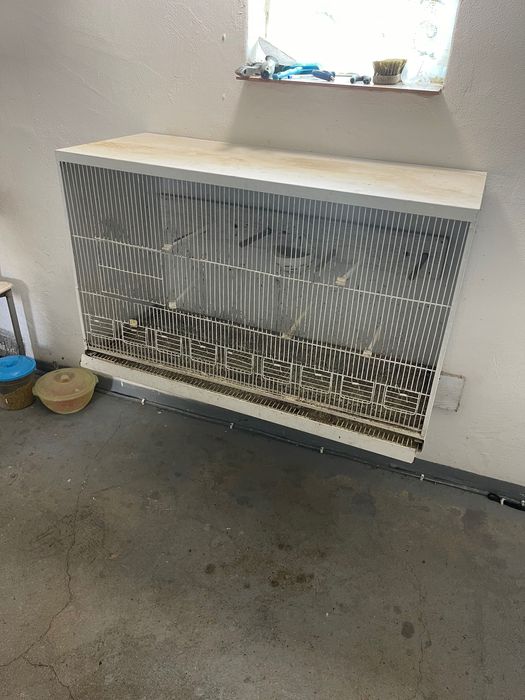 Vendo viveiros em chapa