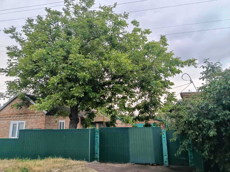 Будинок (мебльований) в м. Новомиргород