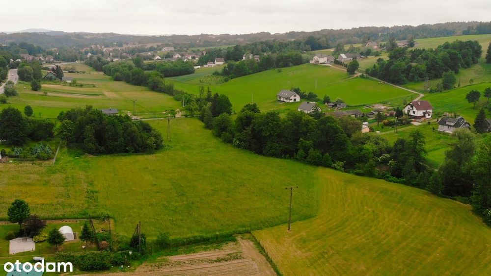 Działka budowlano-rolna 1,23 ha | 30,35 ar UM - Widok 4
