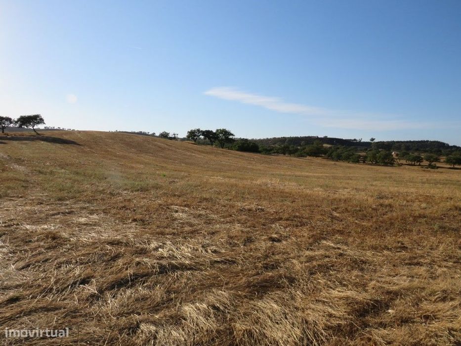 Terreno Rústico com 39.100m2 perto da Barragem da Rocha