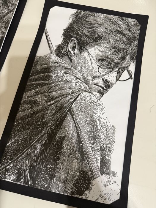 Harry Potter картина графіка