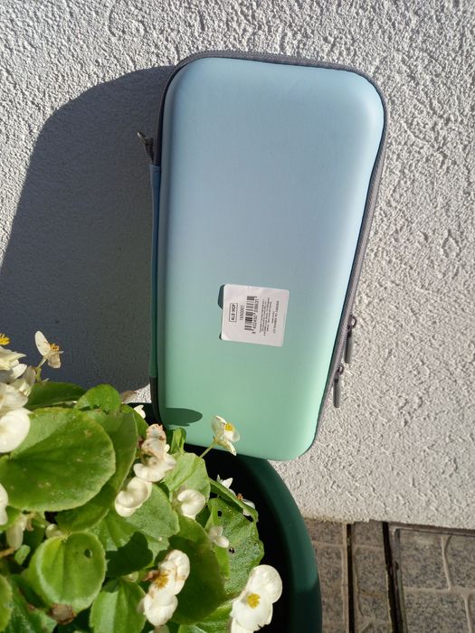 Bolsa, consola Nintendo switch