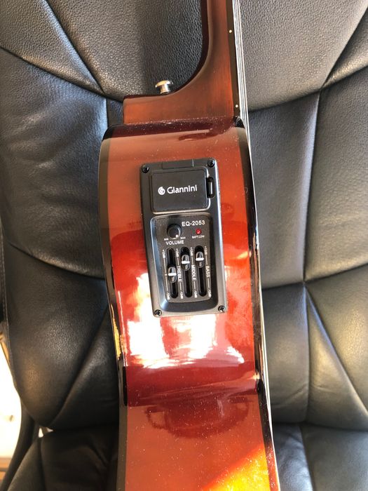 Viola Caipira Brasileira com 10 cordas