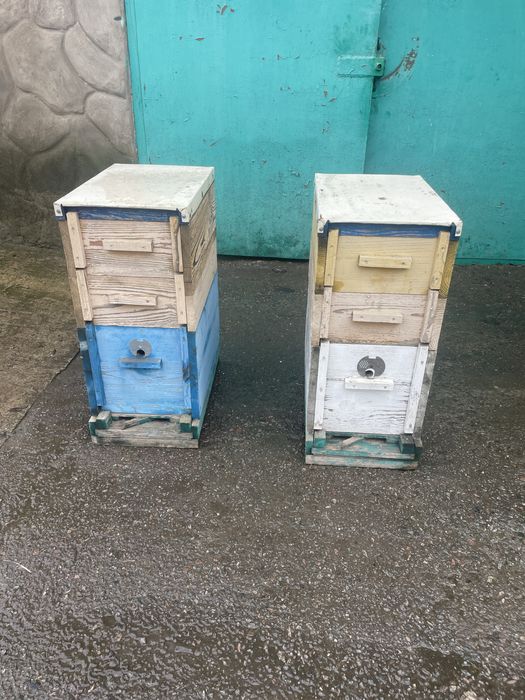 Продаю вулики 100(шт) рамки, медогонку, стіл… для пасіки