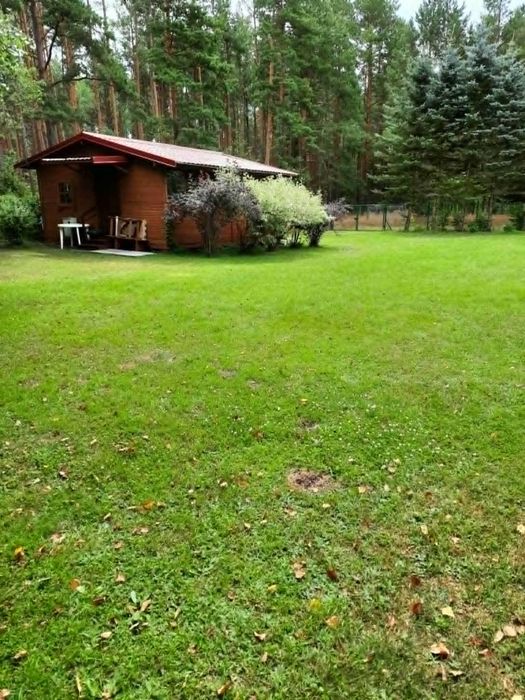 Wynajmę domek letniskowy