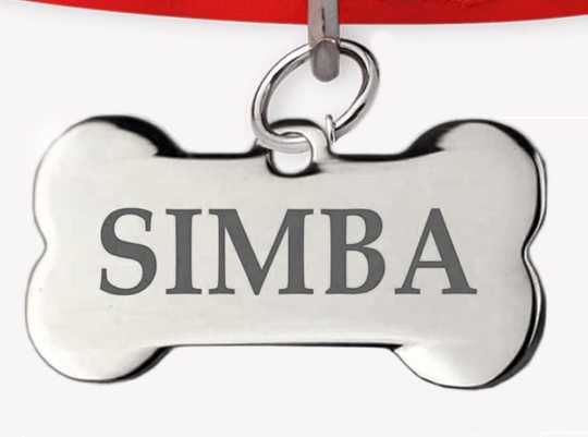 Chapinhas Metálicas Personalizadas para Cães (frente e verso)