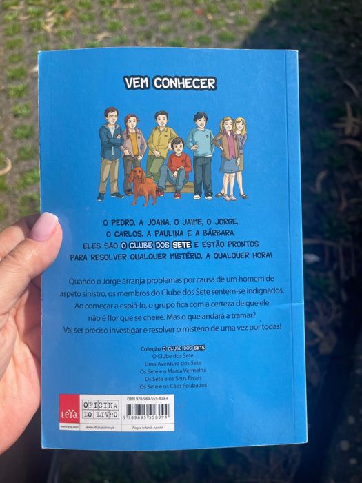 Os sete e os cães roubados