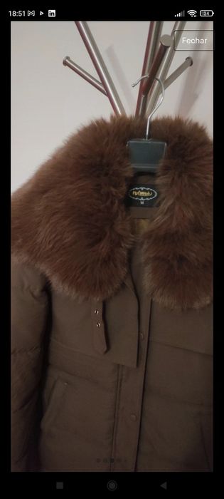 Kispo castanho chocolate