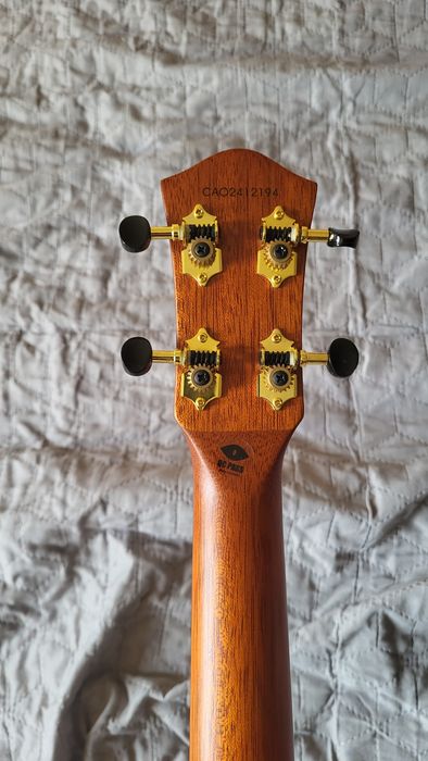Ukulele Flight Maya