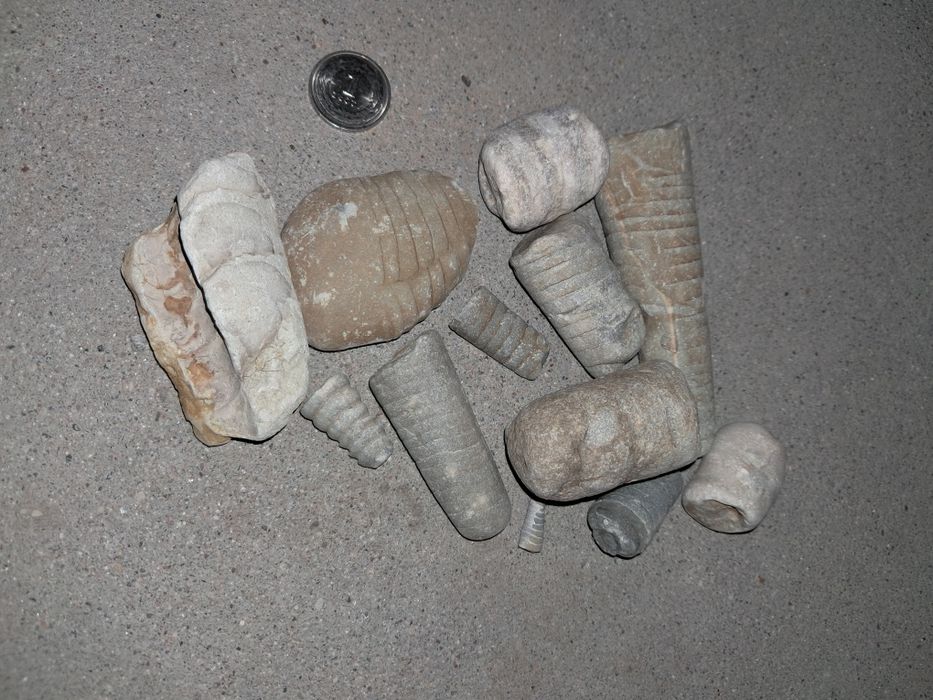 Skamieniałości, krzemienie i minerały