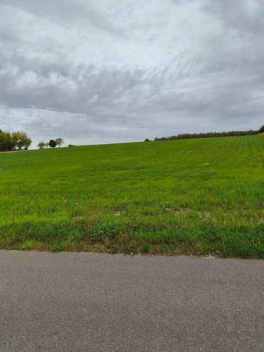 Sprzedam działki budowlane na wzgórzu z pięknym widokiem, Pomocnia, gm Pomiechówek MPZP