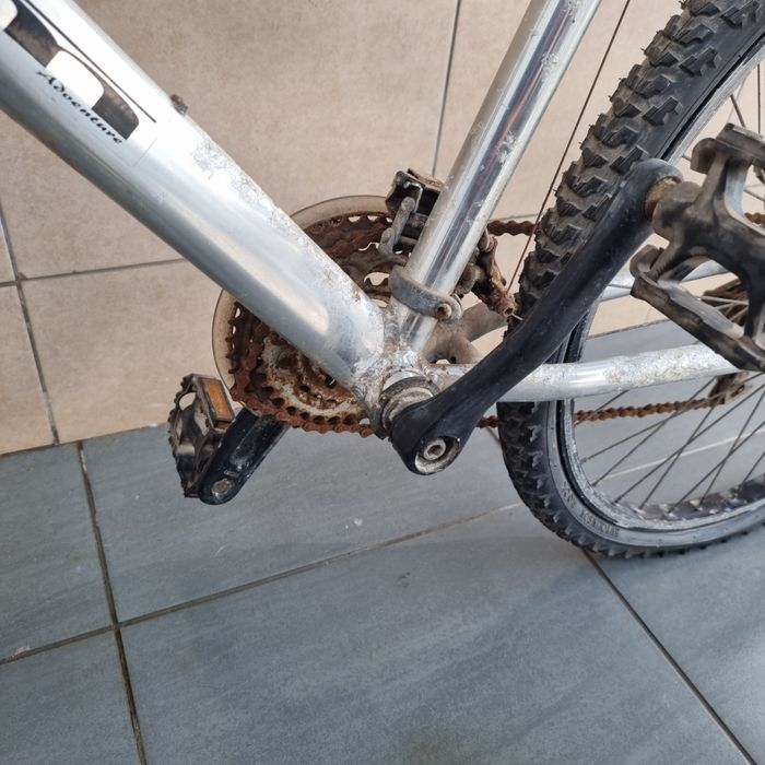 Bicicleta adulto