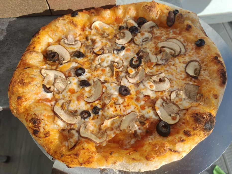 Forno elétrico 500°c para pizza monofásico