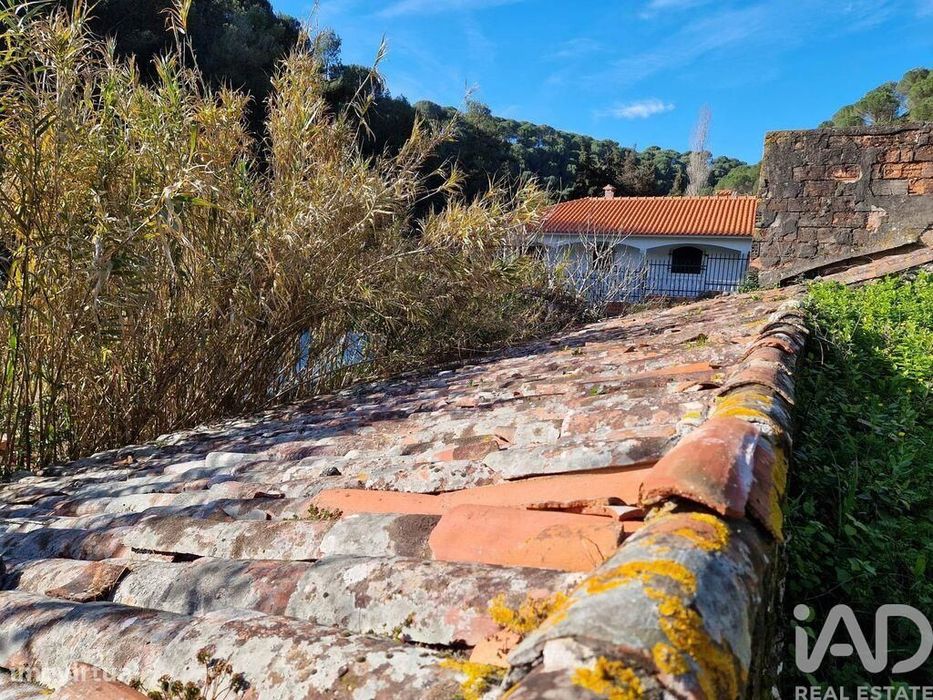 Comércio diverso em Porto de Mós - São João Baptista e São Pedro de 10