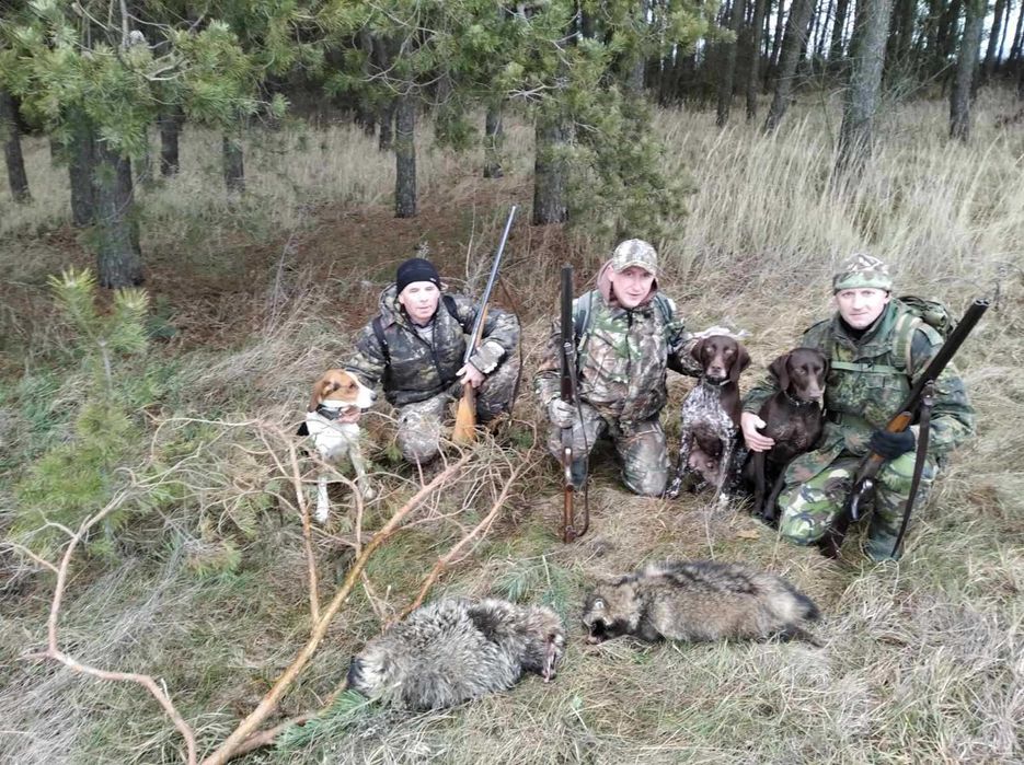 Курцхаар для вязки