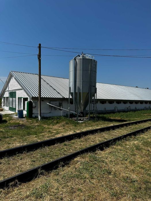 Птицеферма, работающая