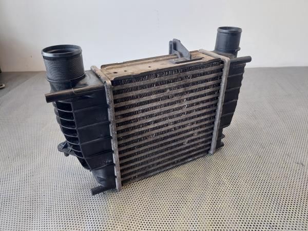 Radiador do intercooler RENAULT Clio III (BR0/1, CR0/1)
