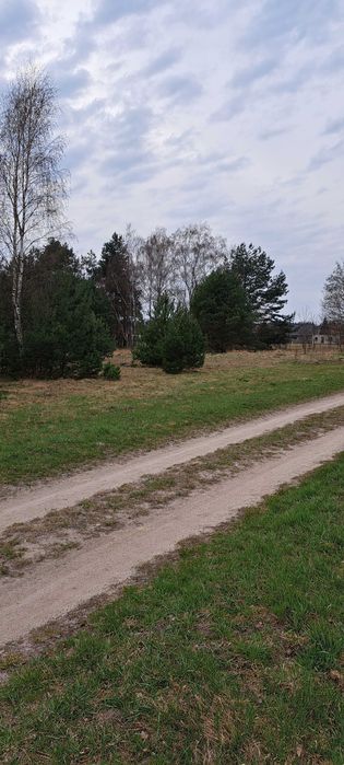Działka z warunkami zabudowy w Siodle