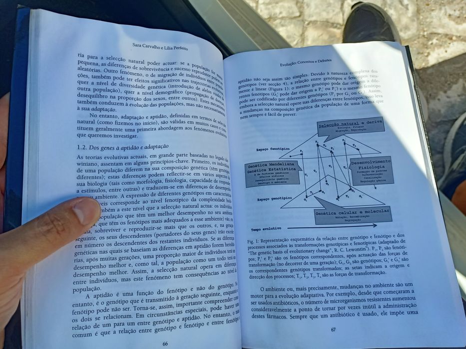 Livro Evolução: Conceitos e Debates, publicado pela Esfera das Ciências / Esfera do Caos