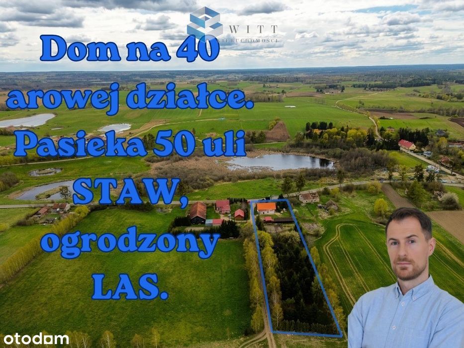 Siedlisko z duszą: staw, las i własna pasieka