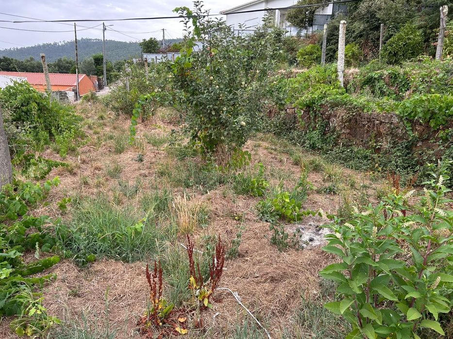 Casa T2 + terreno (5000m2)