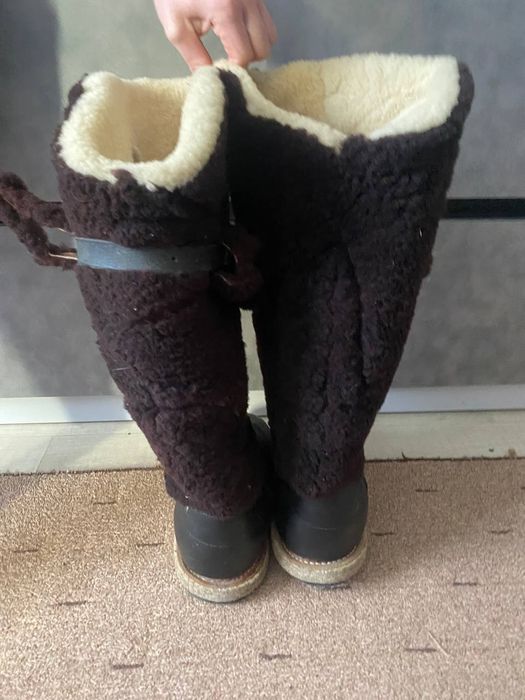 Породам унти з півночі