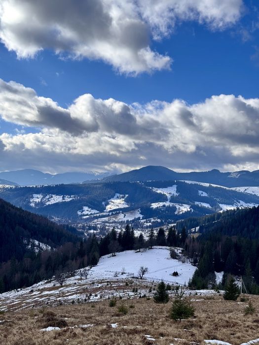 Земля 3,64 га у Карпатах, вид на Чорногірський хребет, під будівництво