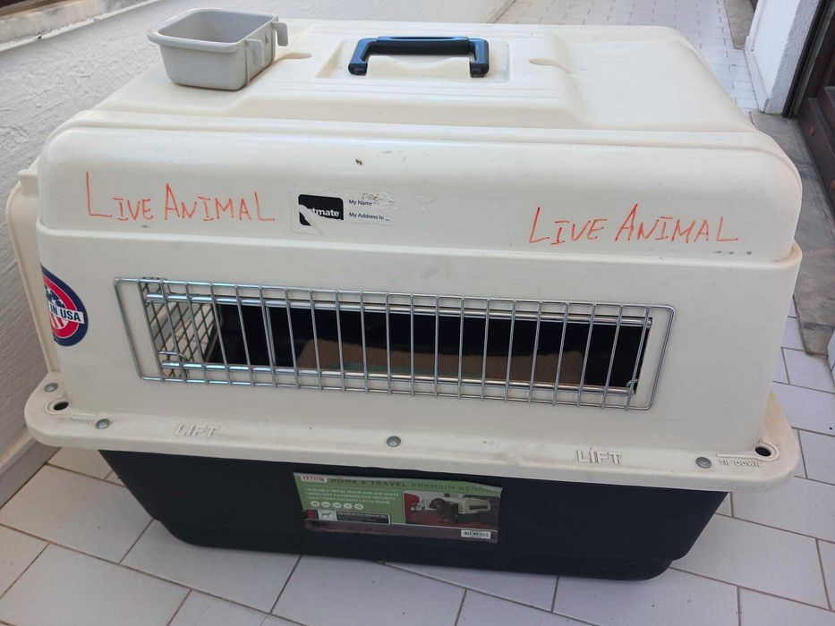 Caixa de transporte para cão médio - PETCO