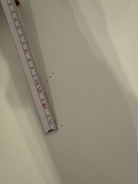 Stół Bontempi CRUZ rozkładany 140–190 × 90 cm | KLER