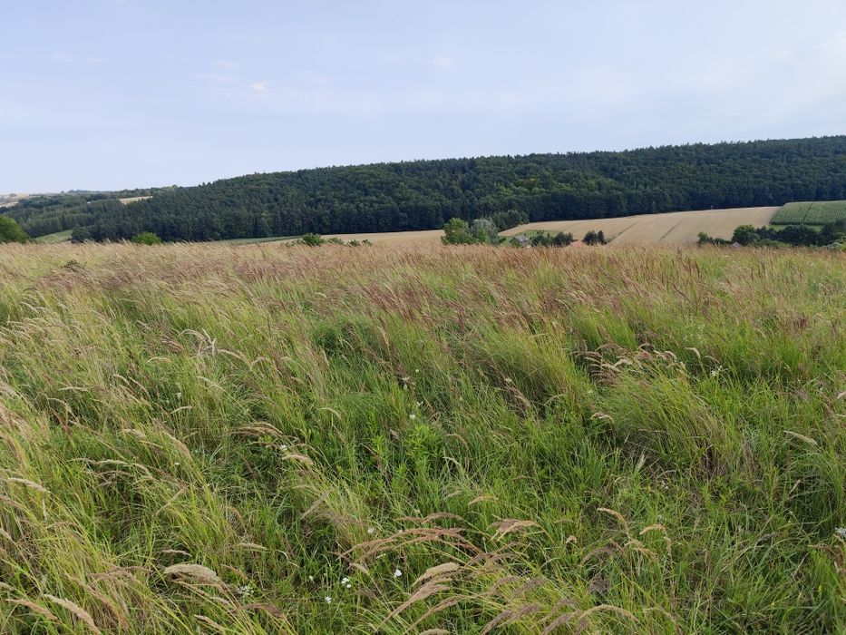 Działka rolna 1,03 H gmina Gołcza - Więcej