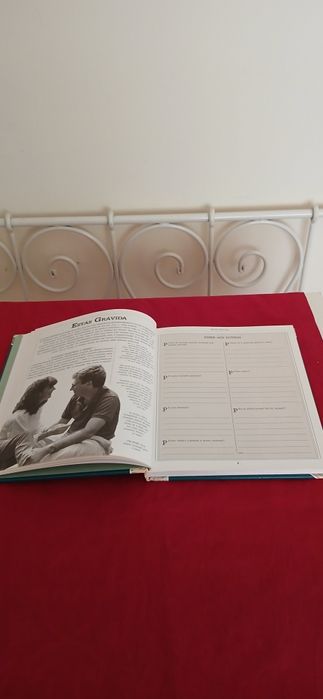 Agenda da Grávida