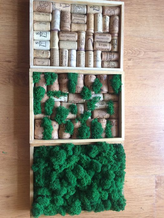 Obraz / kompozycja z mchu chrobotka i korków po winie