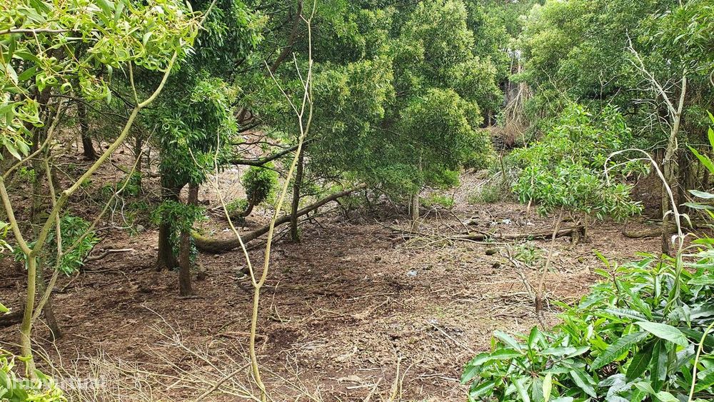 Terreno  para venda